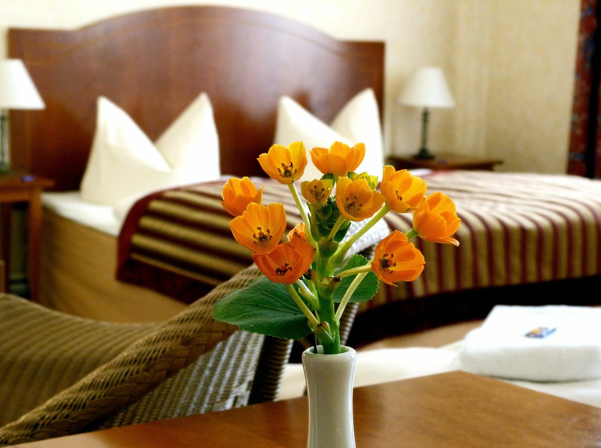 Safestay Hotel 3*